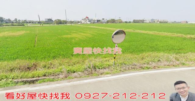 桃園新屋農地-7
