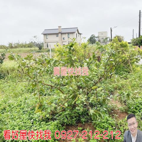 桃園新屋農地-7
