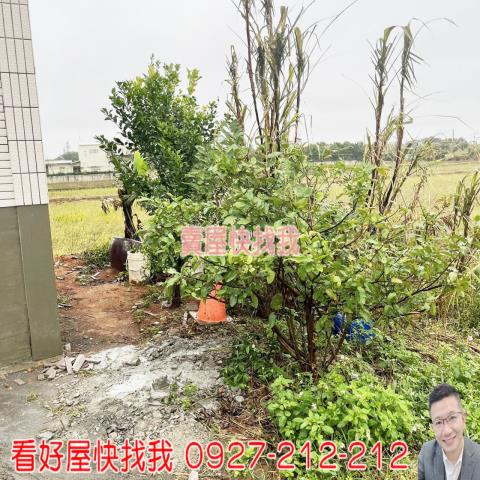 桃園新屋農地-2