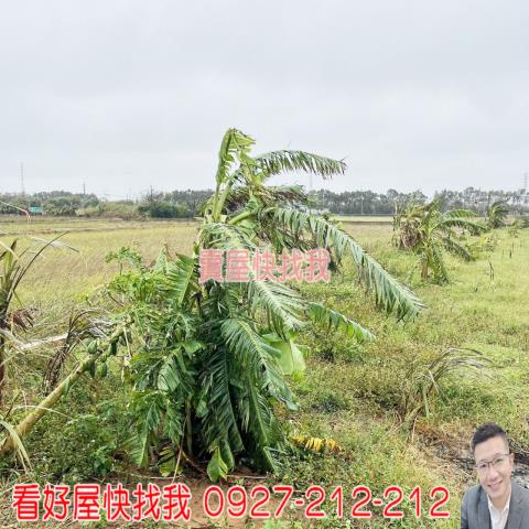 桃園新屋農地-6