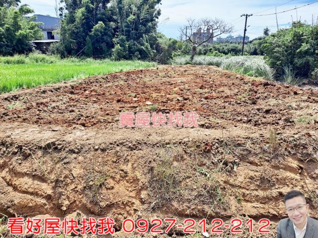 桃園農地-1