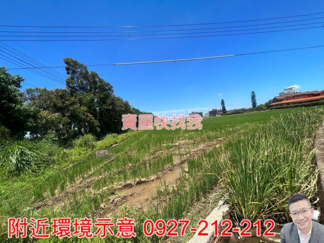 桃園新屋農地-5