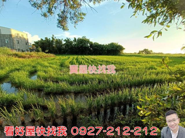桃園新屋農地-6