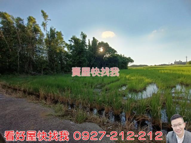 桃園新屋農地-7