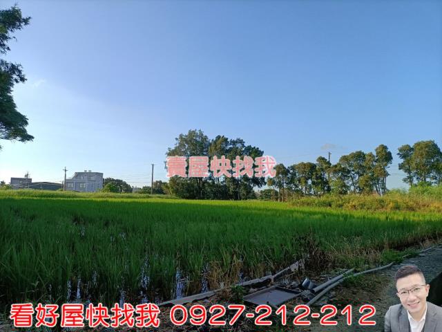 桃園新屋農地-4