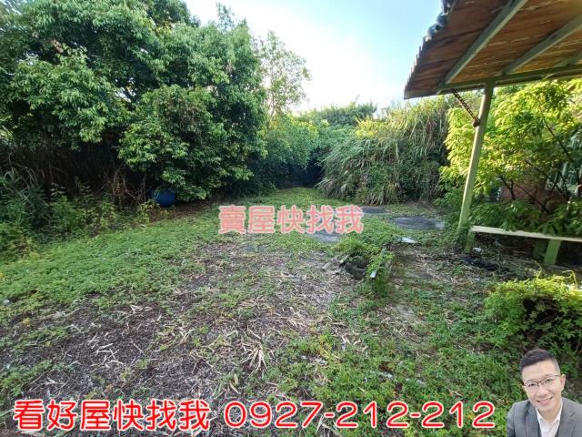 桃園新屋農地-3