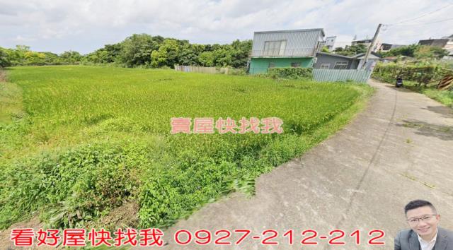 桃園農地-3