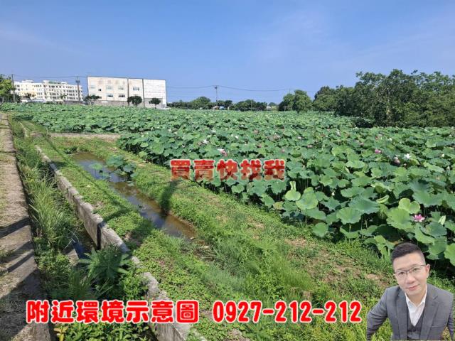 觀音農地-2