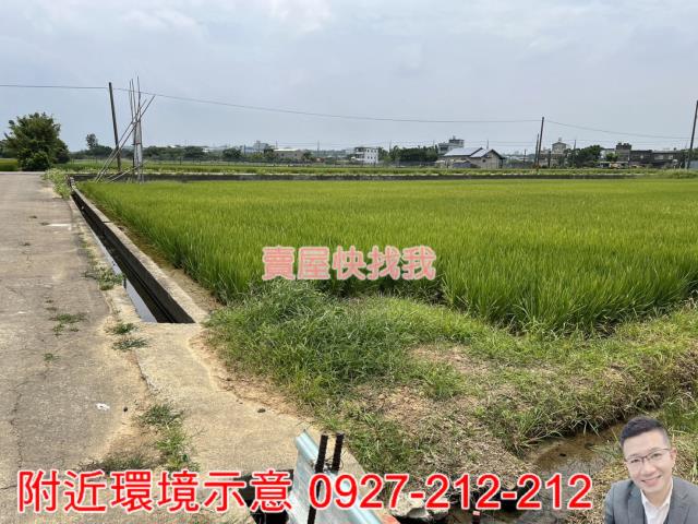 新屋農地-3
